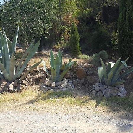 مبيت وإفطار Fraissé-des-Corbières La Loubiere, Ancienne Bergerie En Pleine Garrigue المظهر الخارجي الصورة