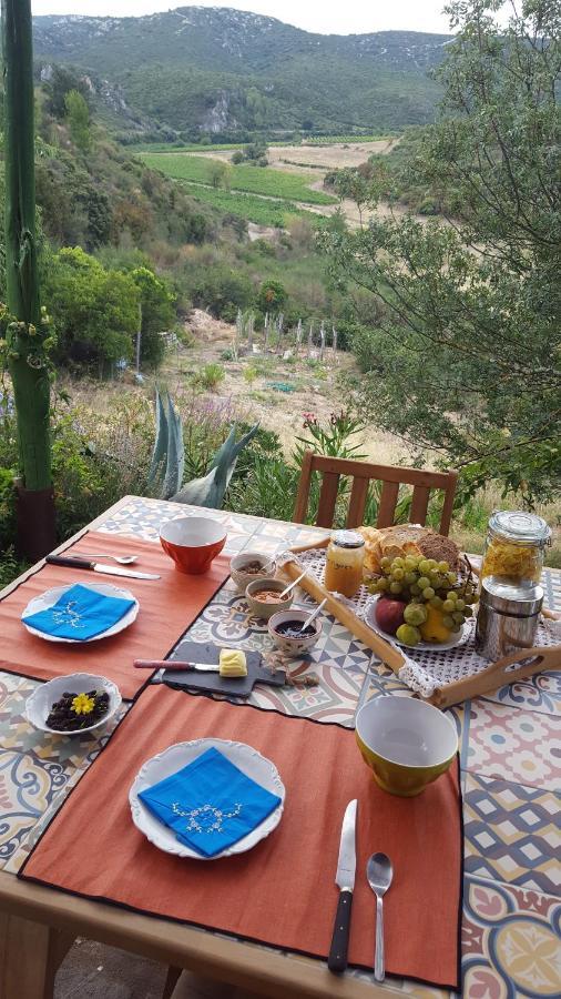 مبيت وإفطار Fraissé-des-Corbières La Loubiere, Ancienne Bergerie En Pleine Garrigue المظهر الخارجي الصورة