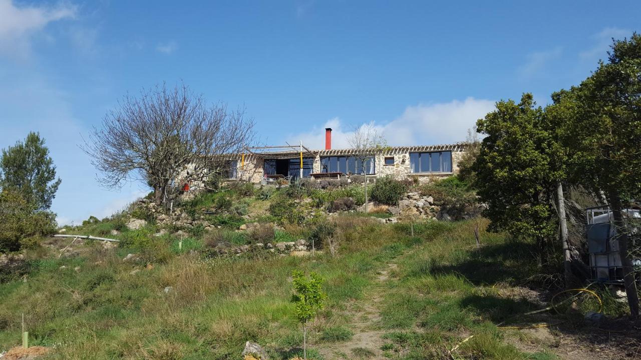 مبيت وإفطار Fraissé-des-Corbières La Loubiere, Ancienne Bergerie En Pleine Garrigue المظهر الخارجي الصورة