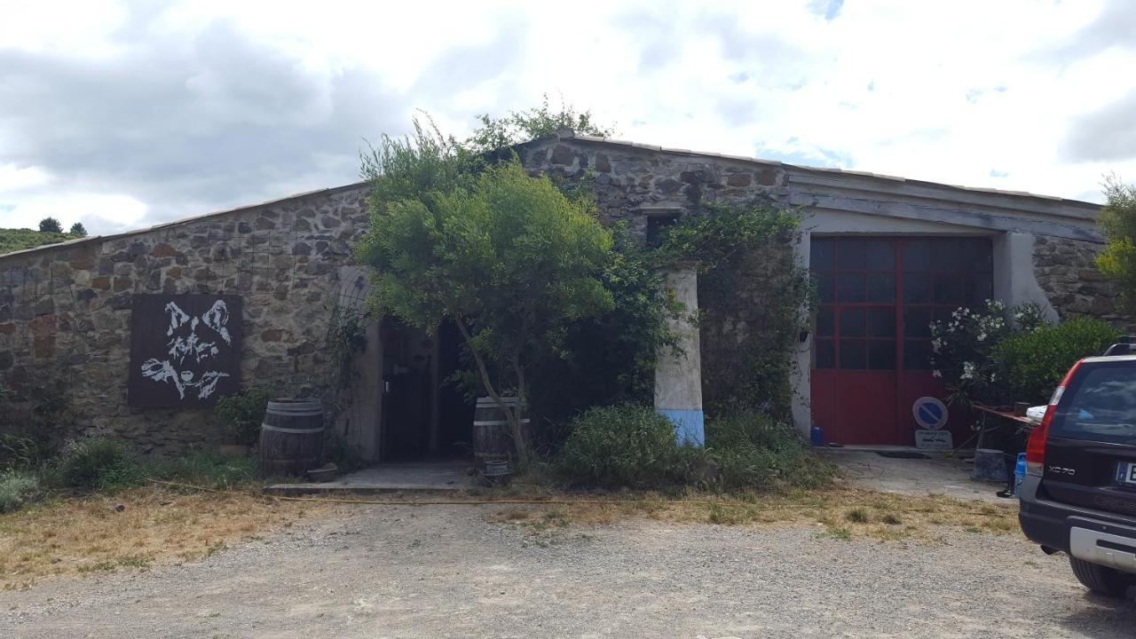 مبيت وإفطار Fraissé-des-Corbières La Loubiere, Ancienne Bergerie En Pleine Garrigue المظهر الخارجي الصورة