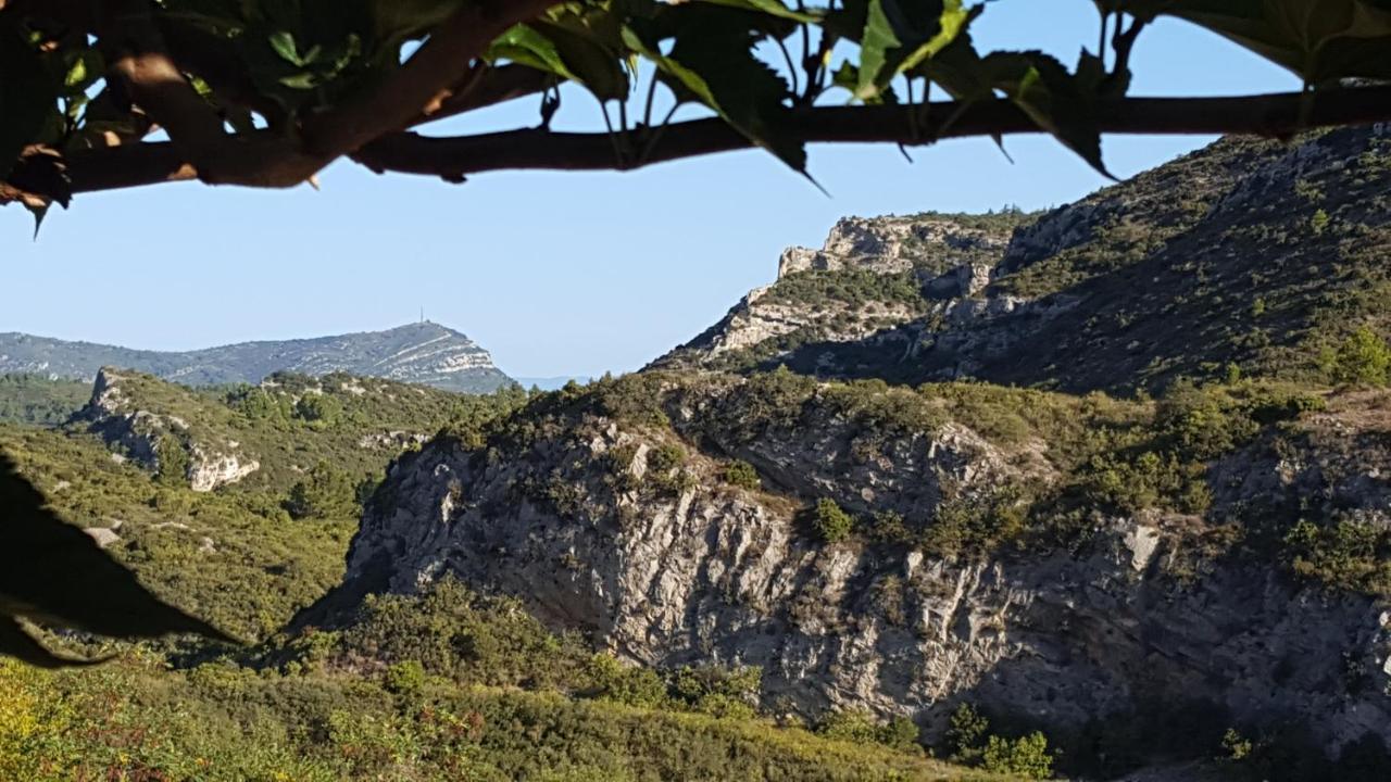 مبيت وإفطار Fraissé-des-Corbières La Loubiere, Ancienne Bergerie En Pleine Garrigue المظهر الخارجي الصورة