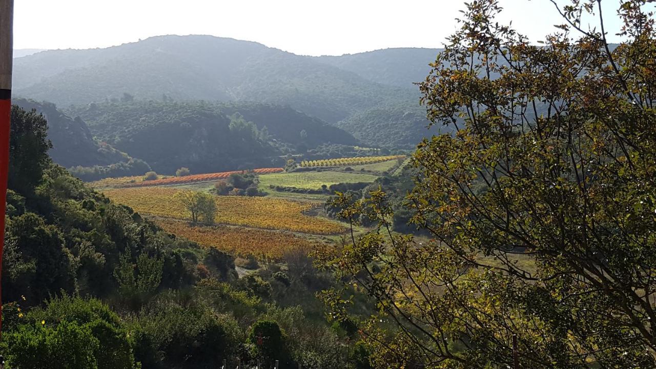 مبيت وإفطار Fraissé-des-Corbières La Loubiere, Ancienne Bergerie En Pleine Garrigue المظهر الخارجي الصورة