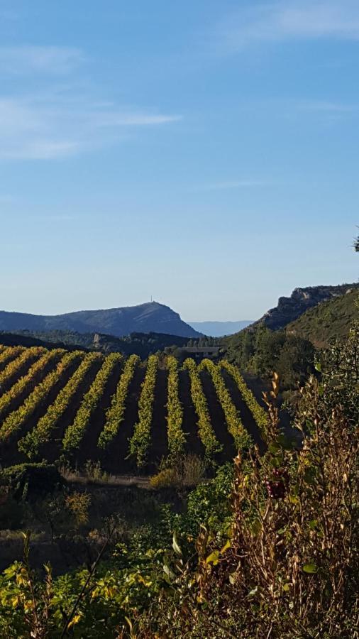 مبيت وإفطار Fraissé-des-Corbières La Loubiere, Ancienne Bergerie En Pleine Garrigue المظهر الخارجي الصورة