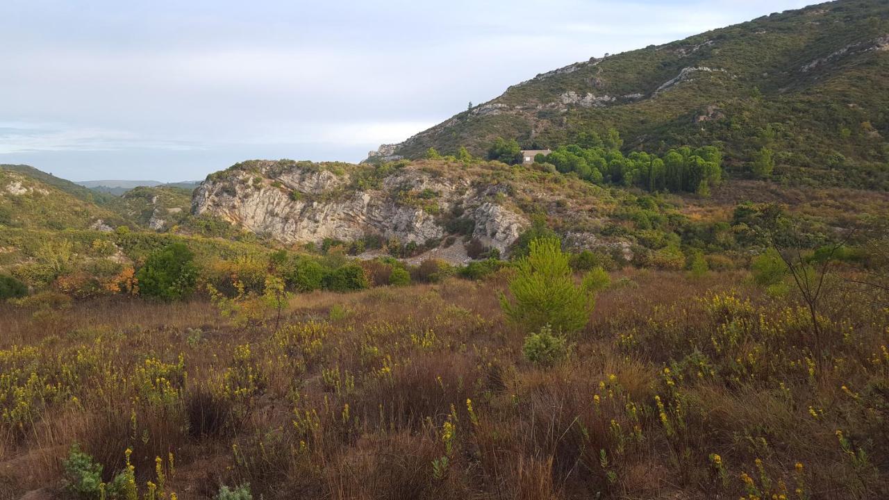 مبيت وإفطار Fraissé-des-Corbières La Loubiere, Ancienne Bergerie En Pleine Garrigue المظهر الخارجي الصورة