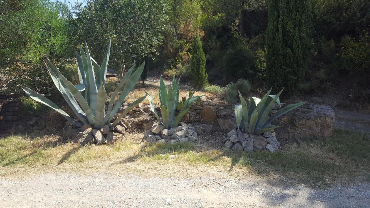 مبيت وإفطار Fraissé-des-Corbières La Loubiere, Ancienne Bergerie En Pleine Garrigue المظهر الخارجي الصورة